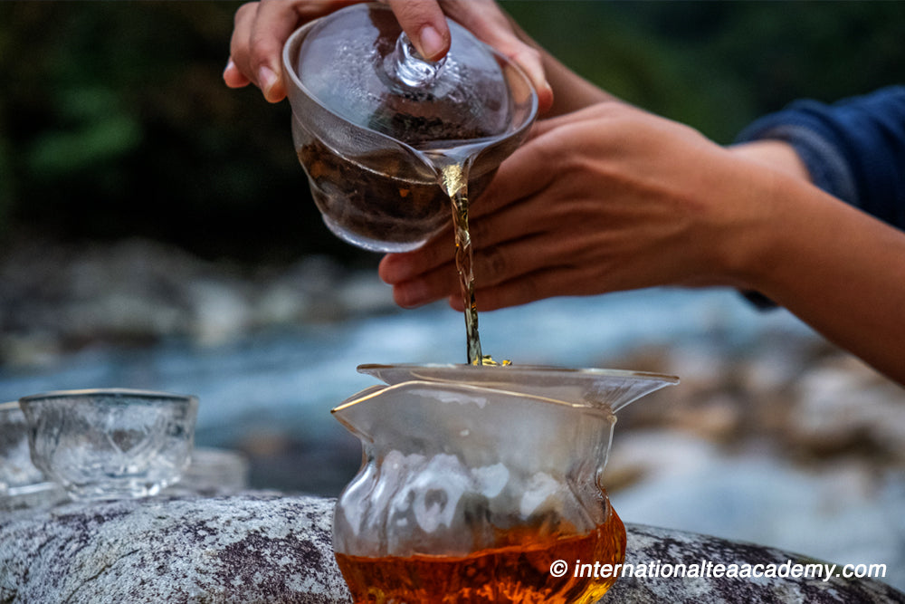 How to Find Happiness From Tea?